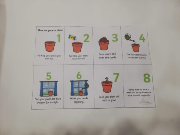 Plant Starter Kit - Image 2